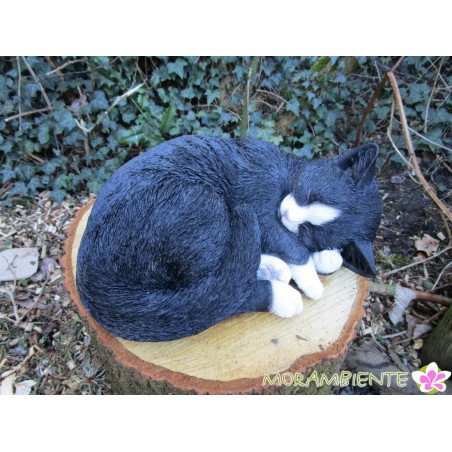 Schlafende Katze "Minka"