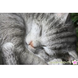 Schlafende Katze "Minka"