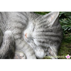 Schlafende Katze "Minka"