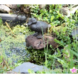 Wasserspeier "sitzende Ente"