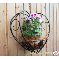 Blumenampel aus dunkelbraunem Metall in Herzform