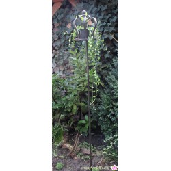 großer Gartenstecker "Krone"