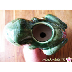 Bewässerungsstecker Frosch aus Keramik